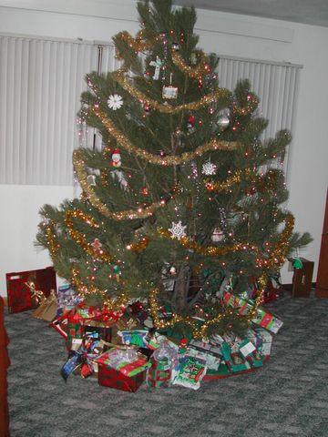 Photo from Custer, SD Trip (Christmas 2002)