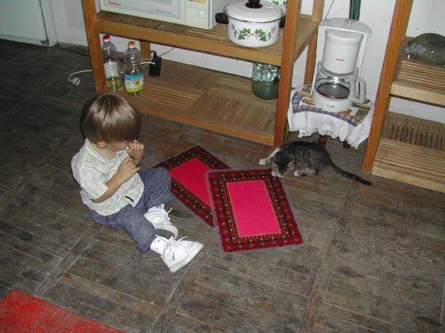 Photo from Romanian Vacation 2003